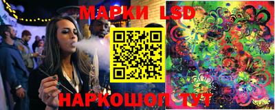 стаф Бузулук