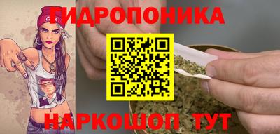 стаф Бузулук