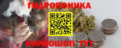 стаф Бузулук