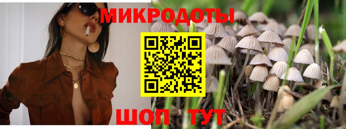 Великий Новгород  Галлюциногенные грибы Cubensis  Вход с VPN 